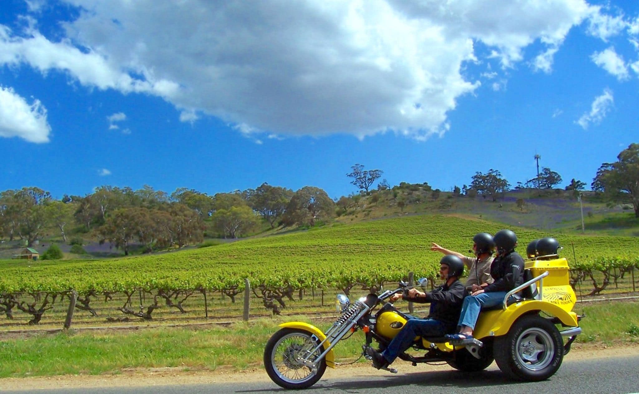 barossa classic cycle tours