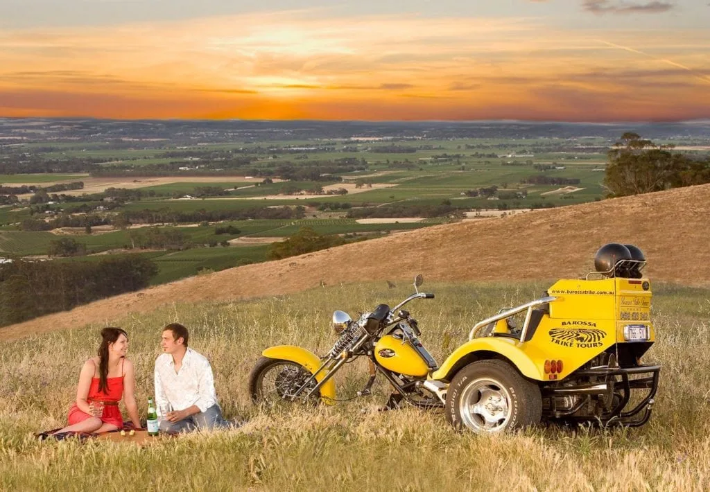 Barossa Trike Tour at sunset