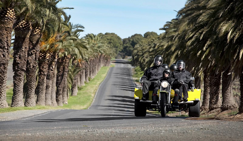 Palmsfrontviewtrike