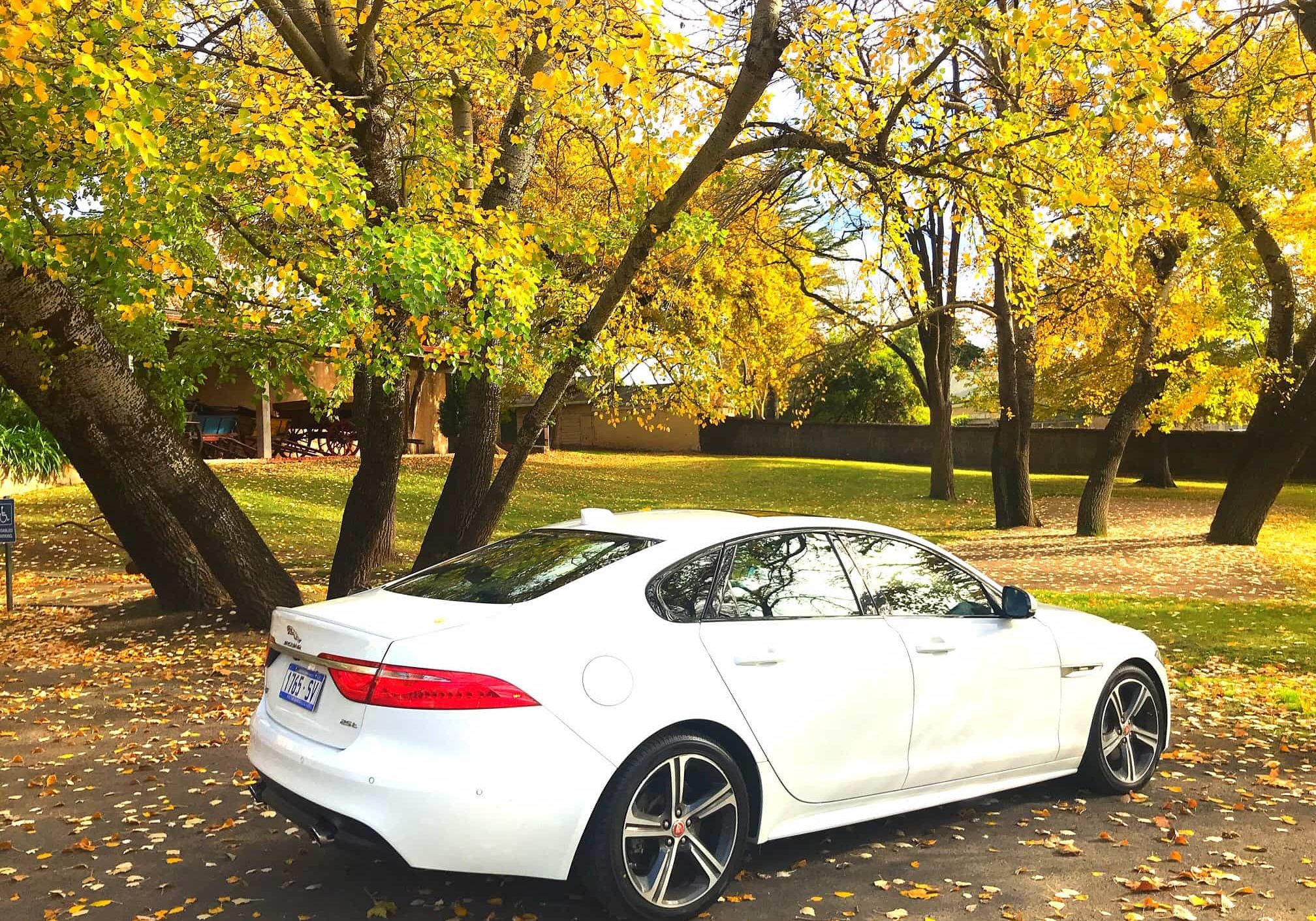 autumnjag autumnjag